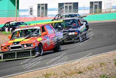 media/May-05-2024-Lucky Dog Racing (Sun) [[8a365fce5b]]/915am-Turn 4b/